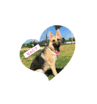 ラッキーの子犬達（個別スタンプ：1）