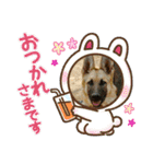 ラッキーの子犬達（個別スタンプ：10）
