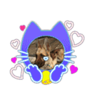 ラッキーの子犬達（個別スタンプ：14）
