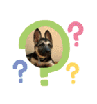 ラッキーの子犬達（個別スタンプ：18）