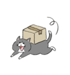 ふたりきょうだい 時々ネコ（個別スタンプ：16）