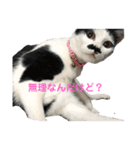 コマ達のスタンプ（個別スタンプ：3）