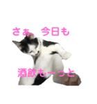 コマ達のスタンプ（個別スタンプ：5）