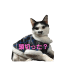 コマ達のスタンプ（個別スタンプ：7）