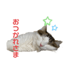 上田しのん（個別スタンプ：1）