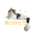 上田しのん（個別スタンプ：7）