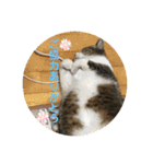 可愛いふくちゃん。（個別スタンプ：8）