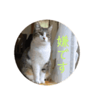 可愛いふくちゃん。（個別スタンプ：13）
