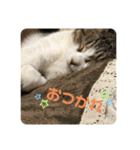 可愛いふくちゃん。（個別スタンプ：20）