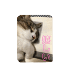 可愛いふくちゃん。（個別スタンプ：21）