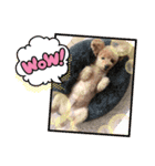 愛しのジョー君パートツー（個別スタンプ：8）