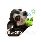 シンバスタンプ vol 2（個別スタンプ：5）