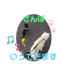 シンバスタンプ vol 2（個別スタンプ：14）