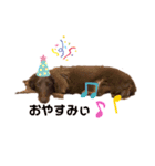 まかろんくんの1日。（個別スタンプ：5）