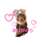 まかろんくんの1日。（個別スタンプ：6）