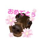 まかろんくんの1日。（個別スタンプ：13）