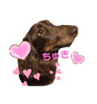 まかろんくんの1日。（個別スタンプ：14）
