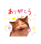 オッドアイのレムちゃん【スタンプ】（個別スタンプ：2）