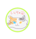 オッドアイのレムちゃん【スタンプ】（個別スタンプ：16）