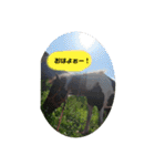 お馬さんと笑う。（個別スタンプ：6）