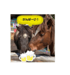 お馬さんと笑う。（個別スタンプ：20）
