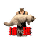 ゆきまろと蘭丸（個別スタンプ：5）