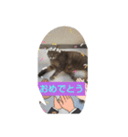 レン君レオン君スタンプ（個別スタンプ：2）