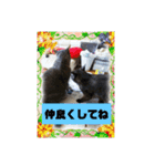 レン君レオン君スタンプ（個別スタンプ：6）