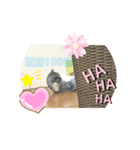 ほっこりニャンズ2（個別スタンプ：12）