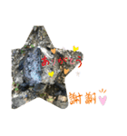 はーちゃんのかめいっぱいスタンプ3（個別スタンプ：12）