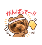 ここあのスタンプだよ〜(๐›ω‹๐)੭（個別スタンプ：1）