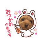 ここあのスタンプだよ〜(๐›ω‹๐)੭（個別スタンプ：3）
