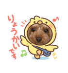 ここあのスタンプだよ〜(๐›ω‹๐)੭（個別スタンプ：5）