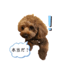 ここあのスタンプだよ〜(๐›ω‹๐)੭（個別スタンプ：8）