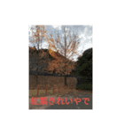四季折々スタンプ色々（個別スタンプ：8）