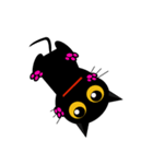 black cat tete 日常動作編（個別スタンプ：13）
