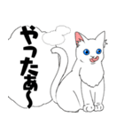 物忘れの激しいみみげ猫＆うさぎ（個別スタンプ：10）