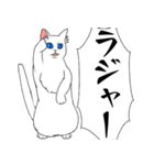 物忘れの激しいみみげ猫＆うさぎ（個別スタンプ：12）