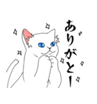 物忘れの激しいみみげ猫＆うさぎ（個別スタンプ：16）