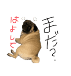 小太郎茶太郎（個別スタンプ：3）