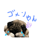 小太郎茶太郎（個別スタンプ：4）