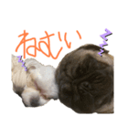 小太郎茶太郎（個別スタンプ：7）