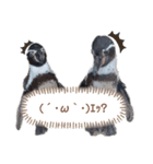 フンボルトペンギンの日常（個別スタンプ：2）