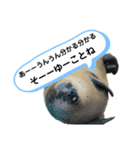 ゴマフアザラシの日常（個別スタンプ：7）