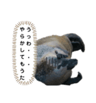 ゴマフアザラシの日常（個別スタンプ：9）