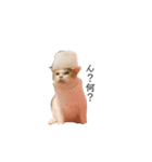 うちんくの猫（個別スタンプ：4）
