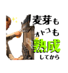 和歌山麦酒醸造所三代目LINEスタンプ（個別スタンプ：7）
