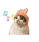 ぽっちゃり三毛猫チャック（個別スタンプ：14）