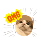 ぽっちゃり三毛猫チャック（個別スタンプ：23）