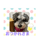 KOHくん（個別スタンプ：8）
